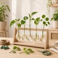Purevirax™ Plant Propagation Station